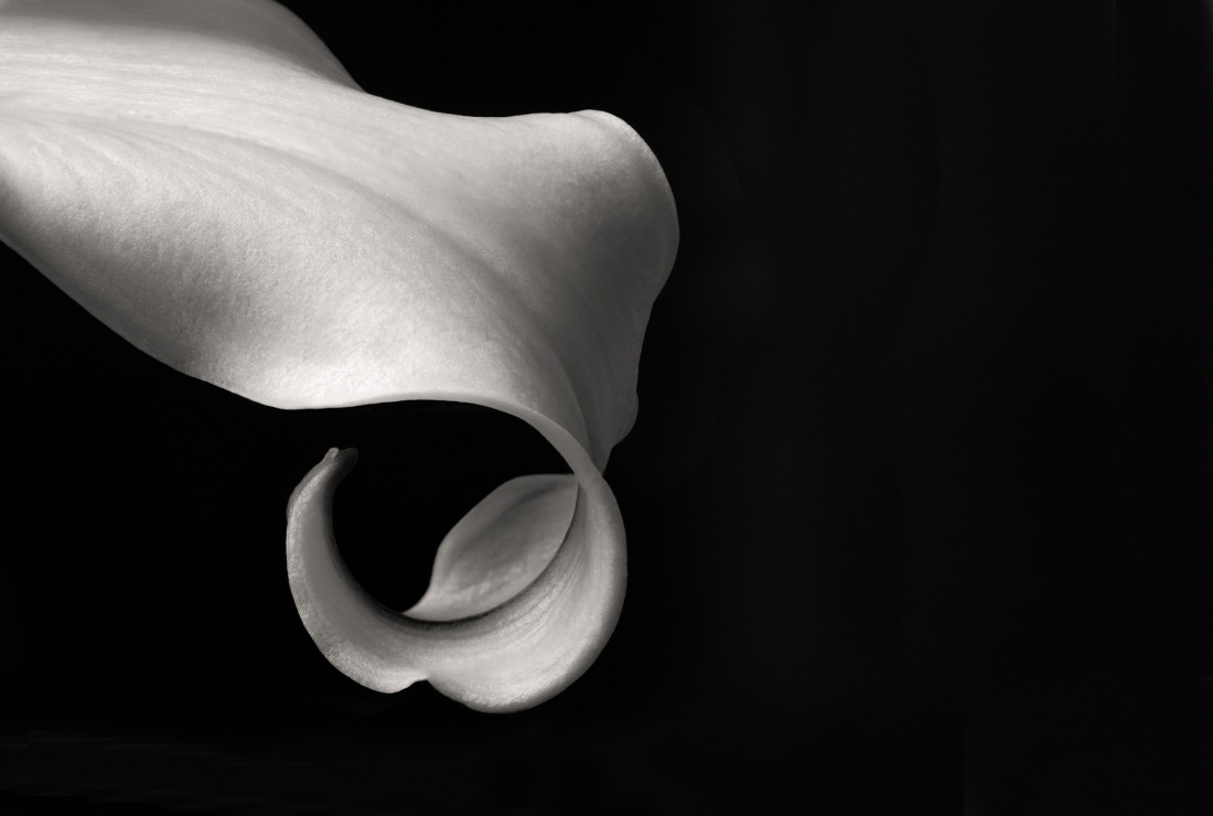 Sara Ghedina 2 Photo-Image