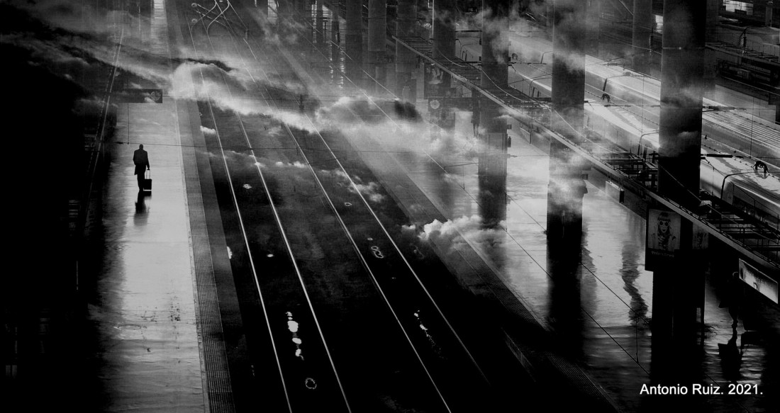 Under The Sign Of The White Rose Photo-Image