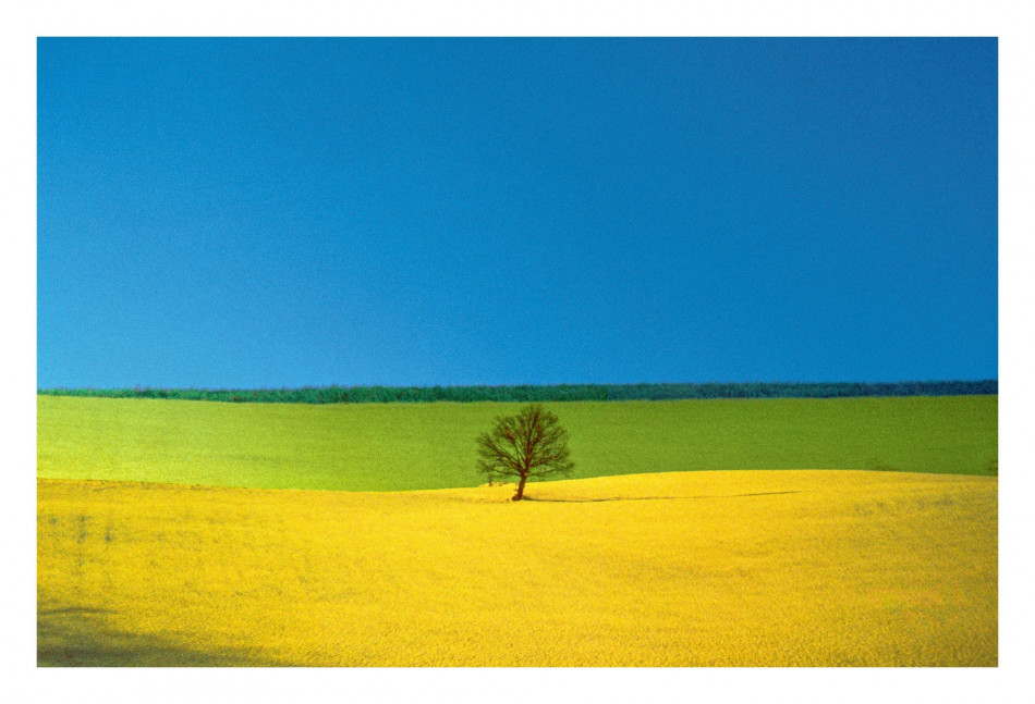 [Franco Fontana] 프랑코 폰타나,칼라의 무게감,추상,상업 사진가,색채의 마술사 Photo-Image