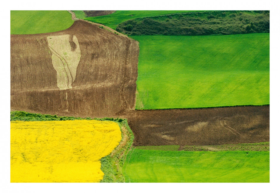 [Franco Fontana] 프랑코 폰타나,칼라의 무게감,추상,상업 사진가,색채의 마술사 Photo-Image