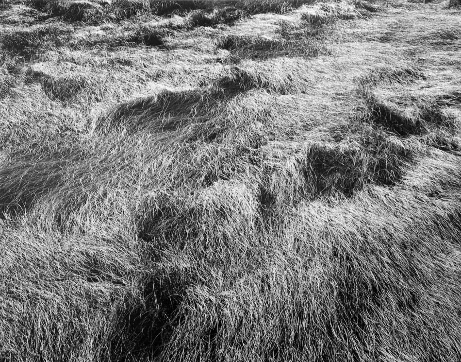 [Harry Callahan] 사진가들의 영원한 스승.해리 캘러한.Harry Callahan (1912–1999) Photo-Image