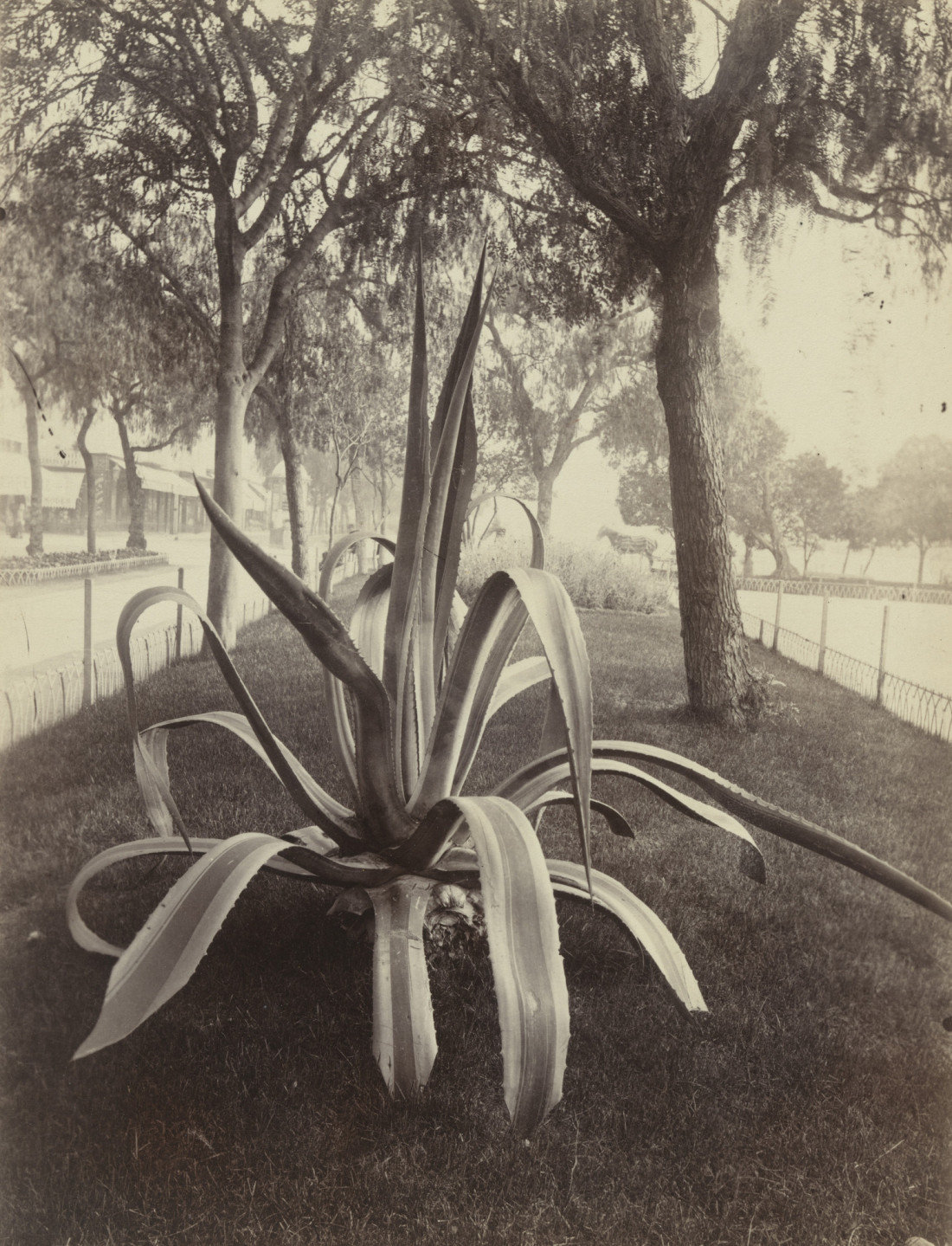 [Eugène Atget,유진 아제] 파리,근대 사진가 Photo-Image