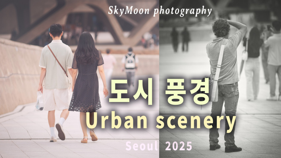 [하늘 사진집-4K] 도시 풍경 (Urban scenery) 2025,길 없는 길 (A pathless road)_Andrea Zonn-Pages Photo-Image