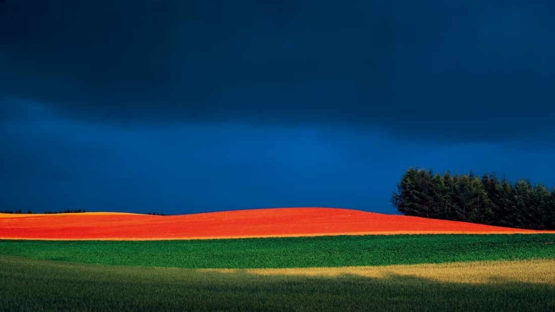 [Shinzo Maeda,마에다 신조] 홋카이도 비에이 풍경 작가 Photo-Image