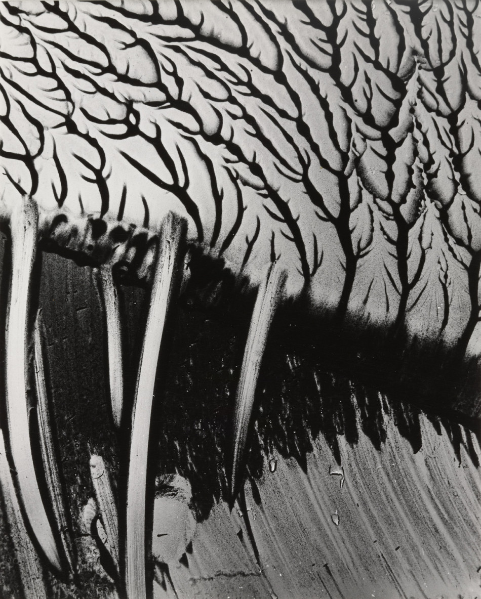 [Brett Weston,브렛 웨스턴] 풍경 추상 Photo-Image