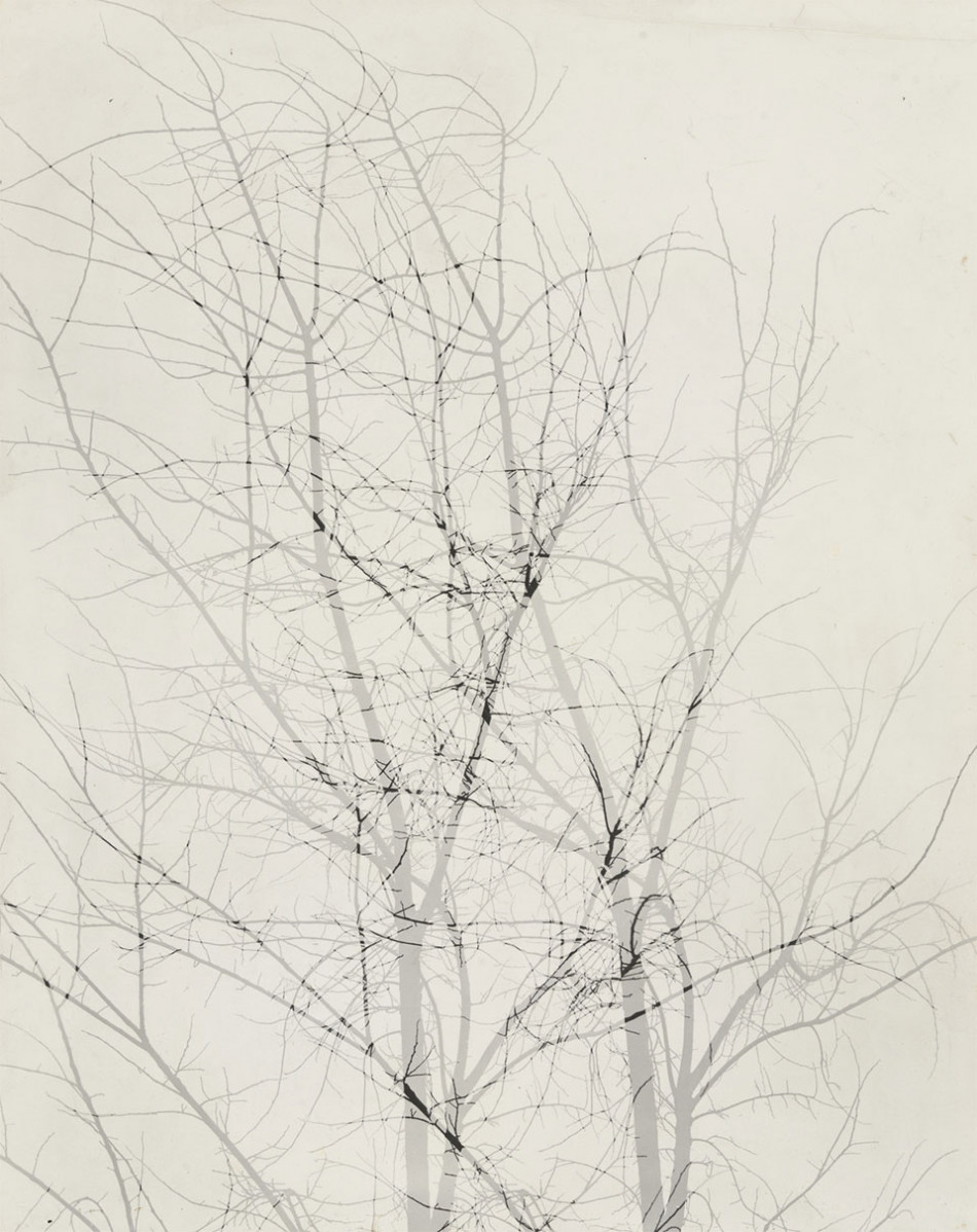 [Harry Callahan] 사진가들의 영원한 스승.해리 캘러한.Harry Callahan (1912–1999) Photo-Image
