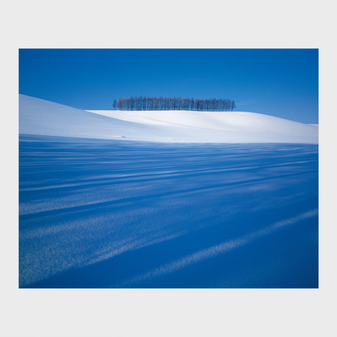 [Shinzo Maeda,마에다 신조] 홋카이도 비에이 풍경 작가 Photo-Image