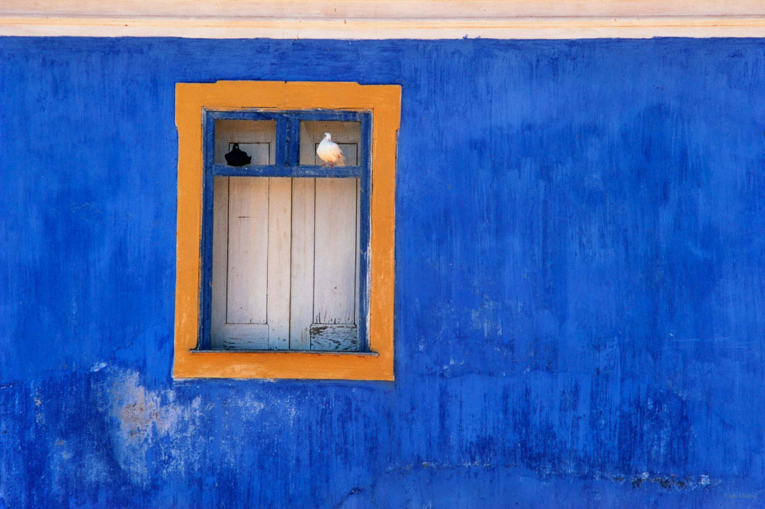 [Jay Maisel] 제이 메이젤,뉴욕 스트리트 포토와 풍경,인물 사진의 거장 Photo-Image