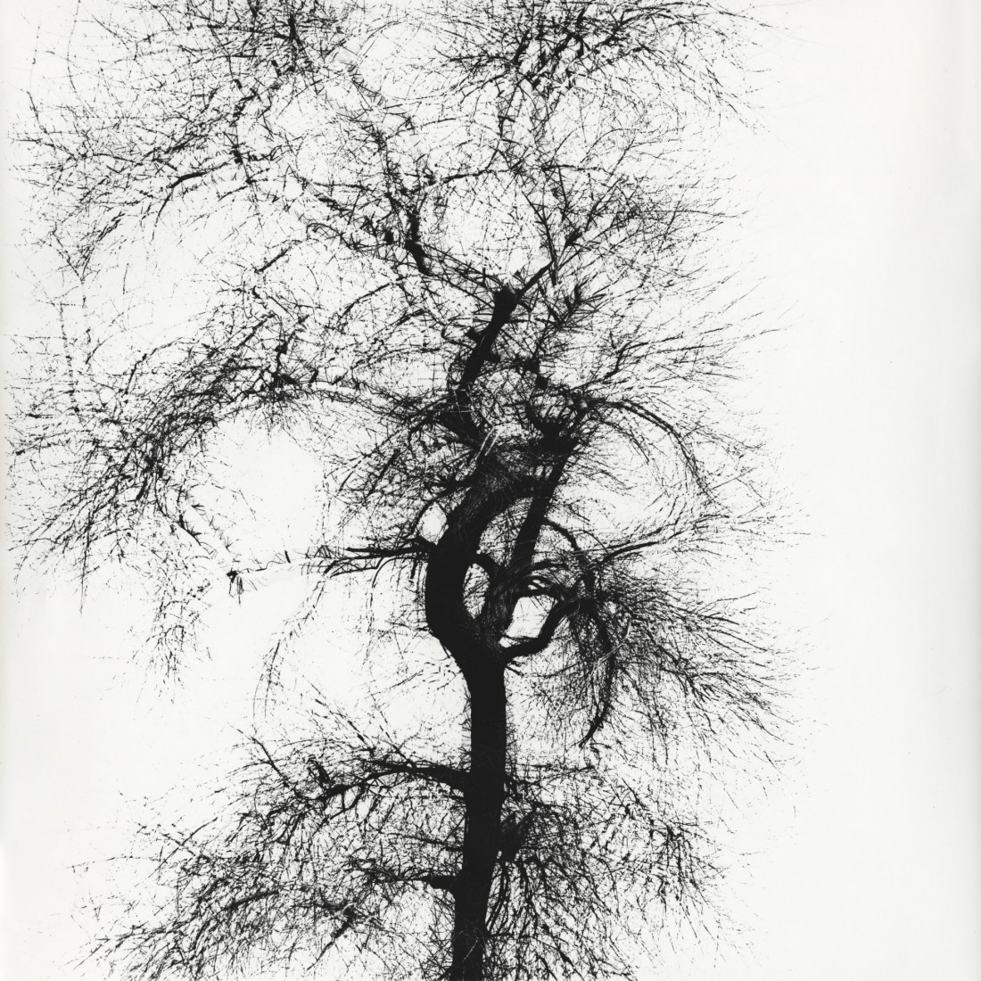 [Harry Callahan] 사진가들의 영원한 스승.해리 캘러한.Harry Callahan (1912–1999) Photo-Image