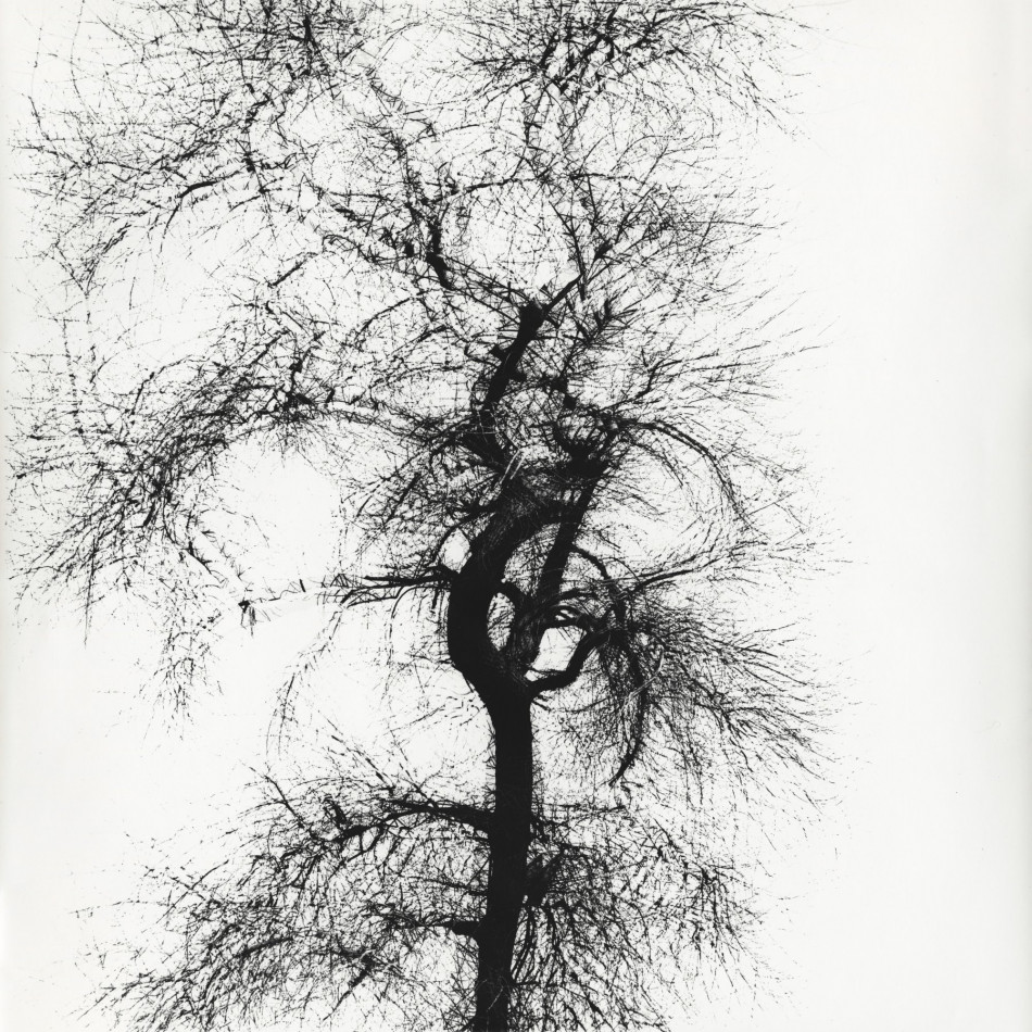 [Harry Callahan] 사진가들의 영원한 스승.해리 캘러한.Harry Callahan (1912–1999) Photo-Image