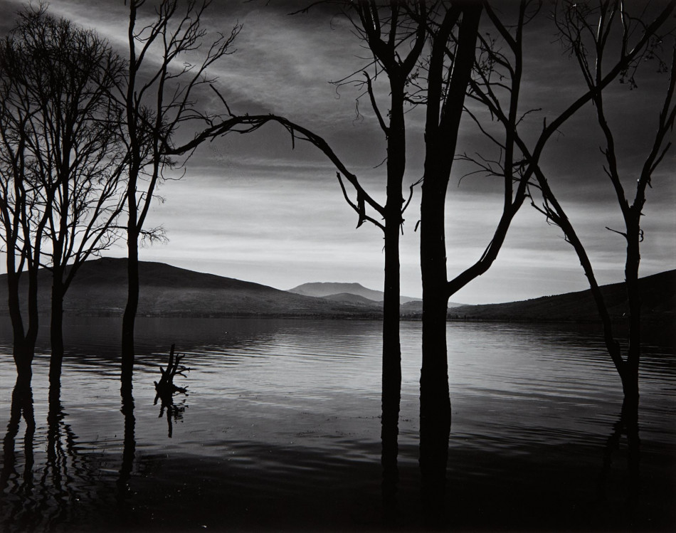 [Brett Weston,브렛 웨스턴] 풍경 추상 Photo-Image
