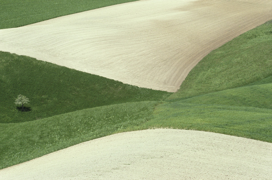 [Franco Fontana] 프랑코 폰타나,칼라의 무게감,추상,상업 사진가,색채의 마술사 Photo-Image
