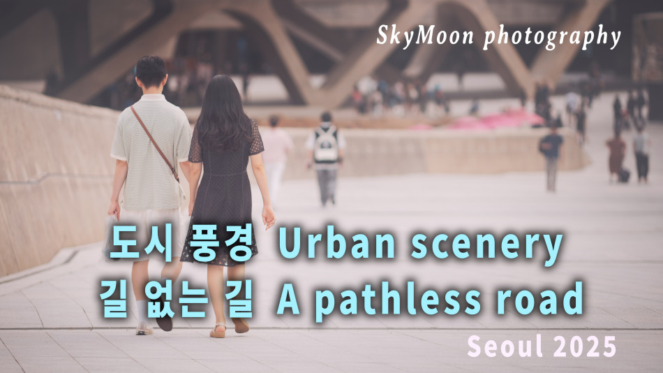 [하늘 사진집-4K] 도시 풍경 (Urban scenery) 2025,길 없는 길 (A pathless road)_Andrea Zonn-Pages Photo-Image