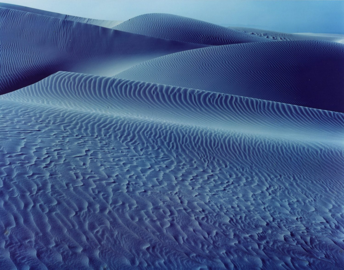 [Edward Weston] 주변 일상의 평범한 사물들을 예술로 승화 시킨,20세기 가장 위대한 사진가.에드워드 웨스턴 (1886–1958) Photo-Image