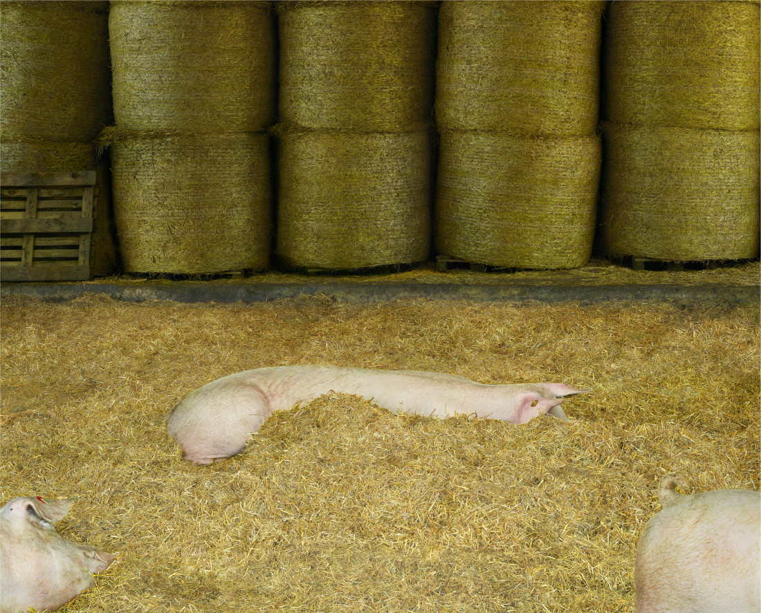 [Andreas Gursky] 안드레아스 구르스키 Photo-Image