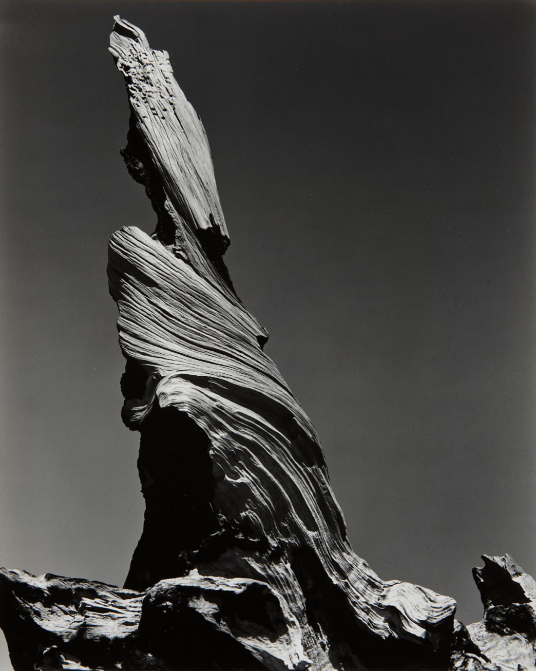 [Edward Weston] 주변 일상의 평범한 사물들을 예술로 승화 시킨,20세기 가장 위대한 사진가.에드워드 웨스턴 (1886–1958) Photo-Image