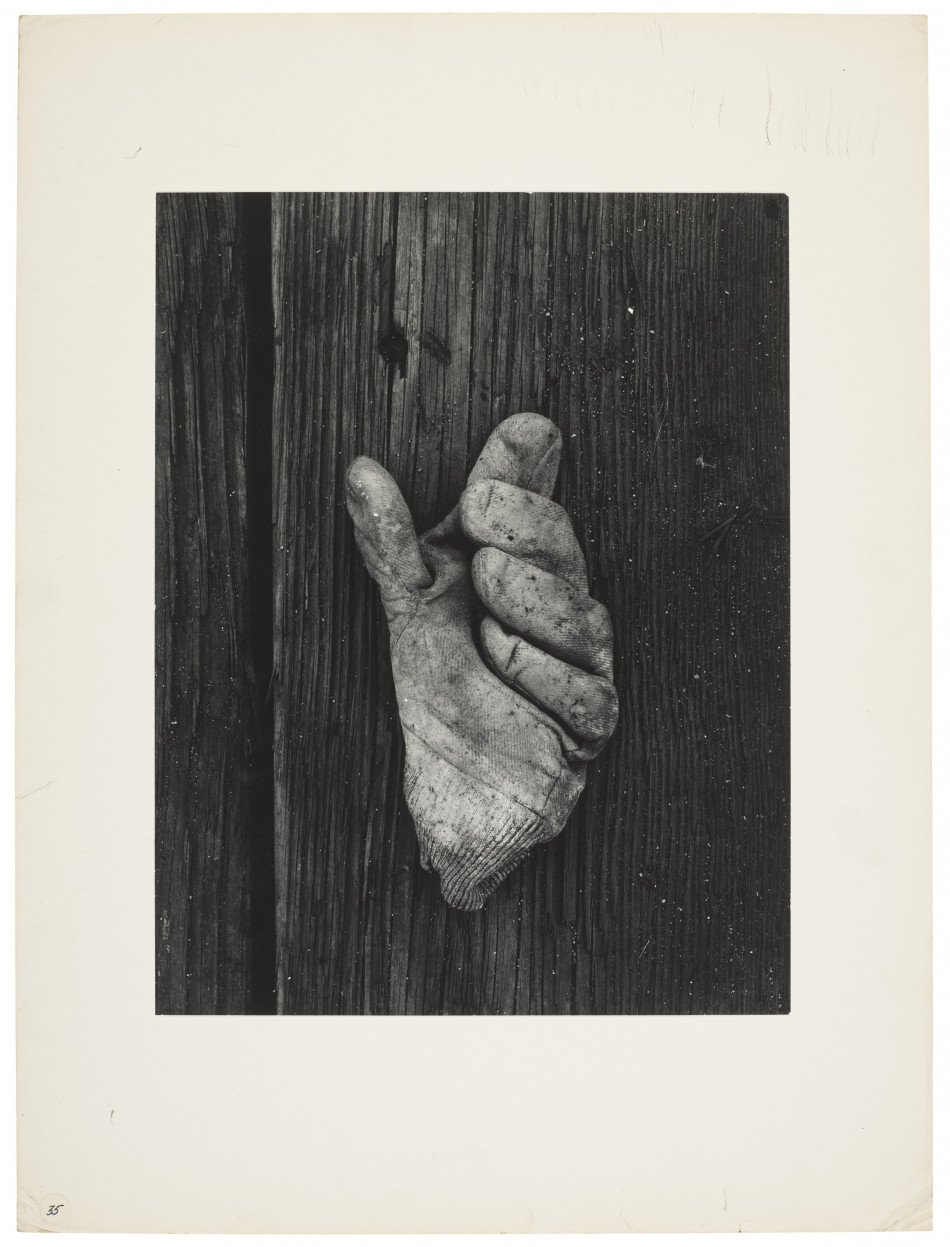 [Aaron Siskind] 추상 사진가 아론 시스킨드 Photo-Image
