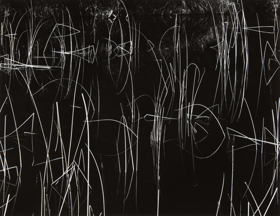 [Brett Weston,브렛 웨스턴] 풍경 추상 Photo-Image