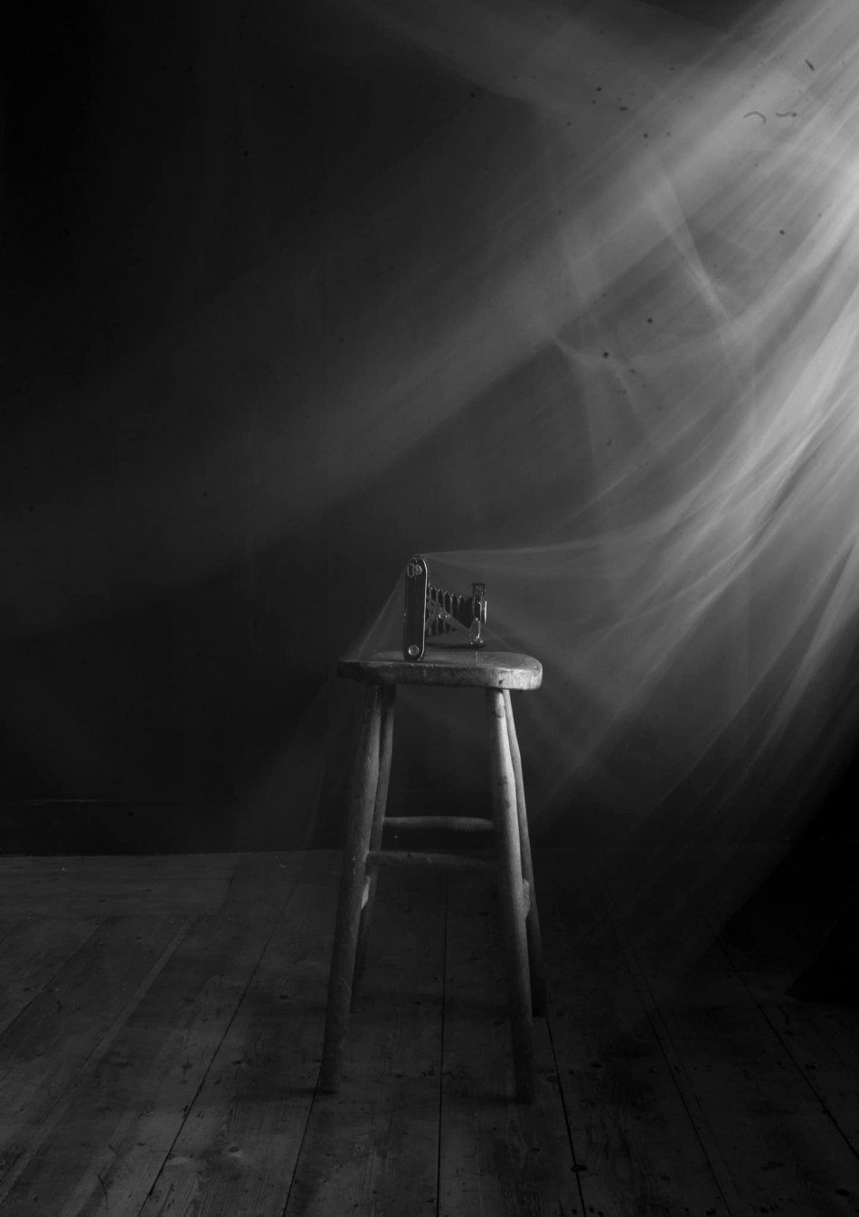 Nicola Davison Reed-커튼 실루엣 (Facebook) Photo-Image