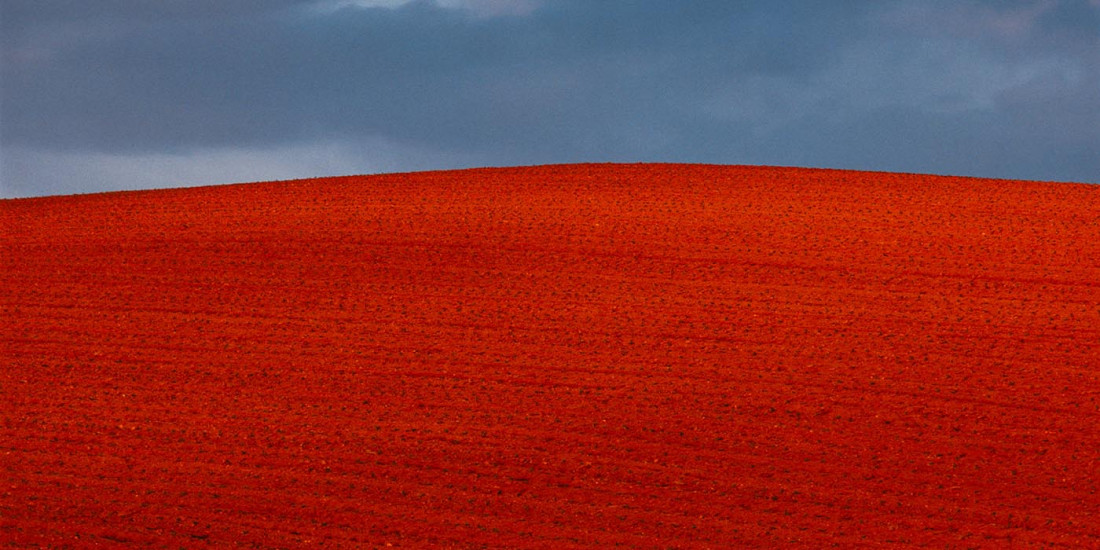 [Shinzo Maeda,마에다 신조] 홋카이도 비에이 풍경 작가 Photo-Image
