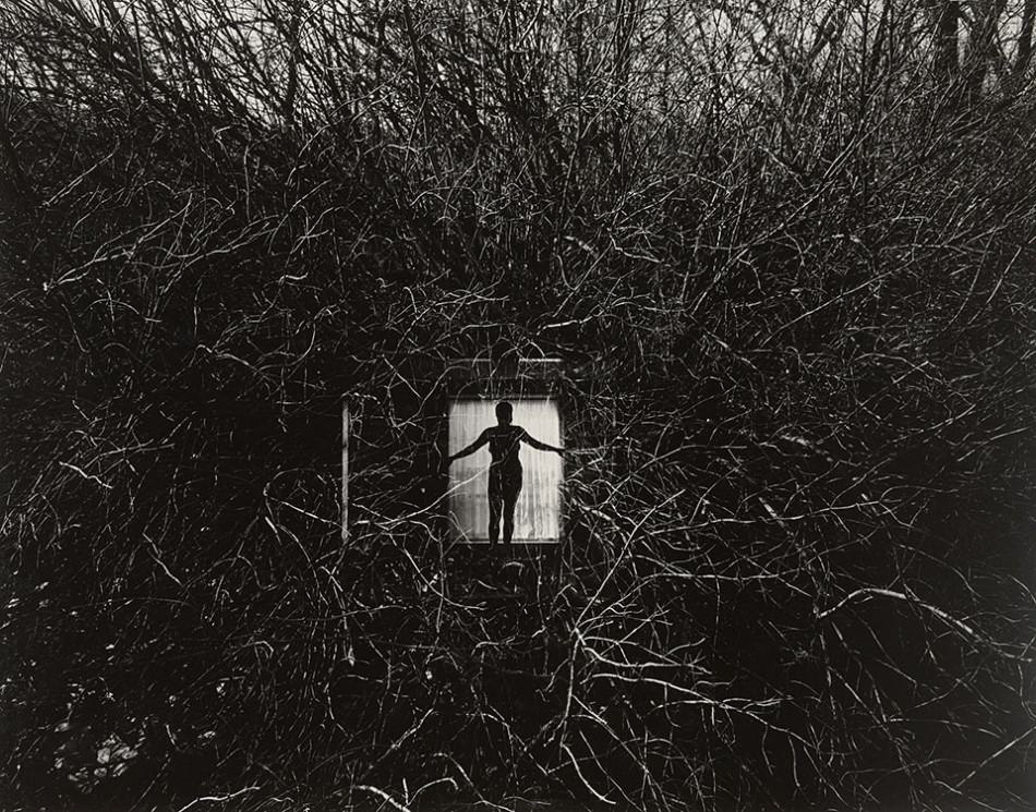 [Harry Callahan] 사진가들의 영원한 스승.해리 캘러한.Harry Callahan (1912–1999) Photo-Image