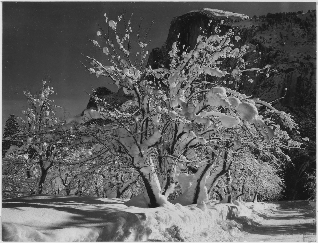 [Ansel Adams] 흑백 사진의 대명사이자 20세기 최고의 풍경 사진가,안셀 아담스.Ansel Adams (1902 1984) Photo-Image