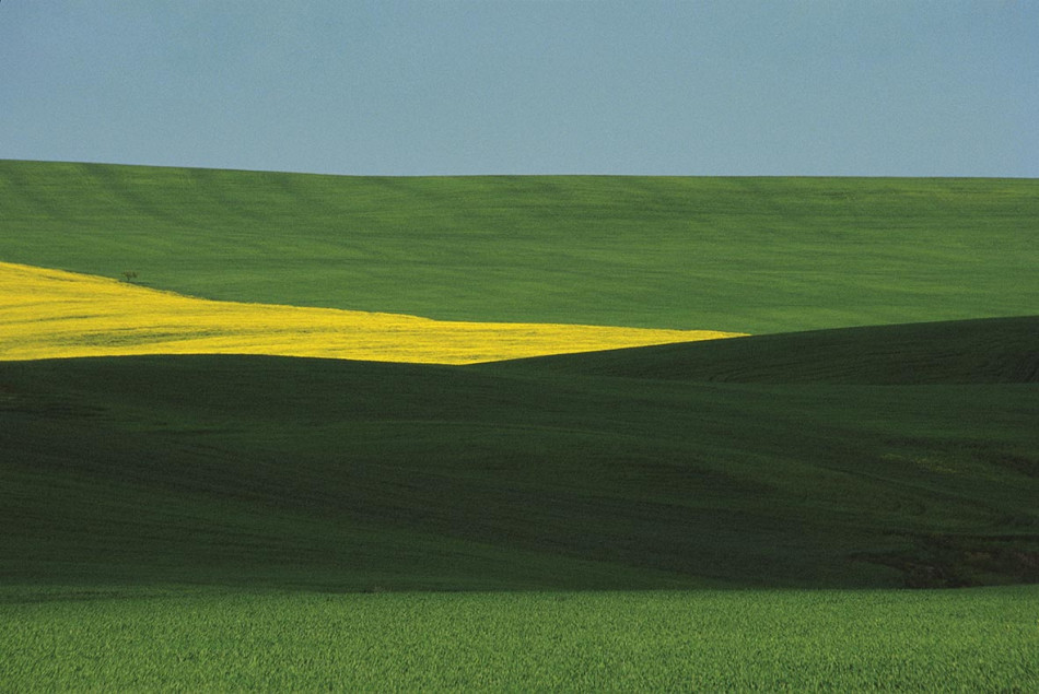 [Franco Fontana] 프랑코 폰타나,칼라의 무게감,추상,상업 사진가,색채의 마술사 Photo-Image