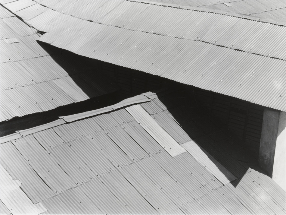 [Brett Weston,브렛 웨스턴] 풍경 추상 Photo-Image