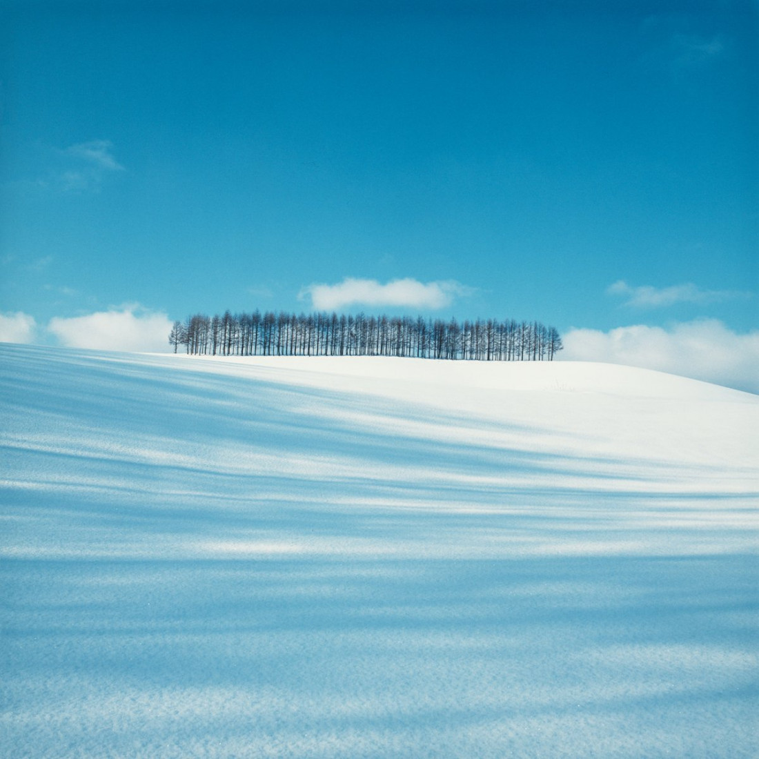 [Shinzo Maeda,마에다 신조] 홋카이도 비에이 풍경 작가 Photo-Image