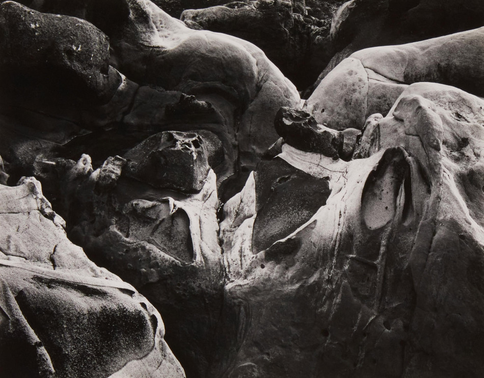 [Edward Weston] 주변 일상의 평범한 사물들을 예술로 승화 시킨,20세기 가장 위대한 사진가.에드워드 웨스턴 (1886–1958) Photo-Image