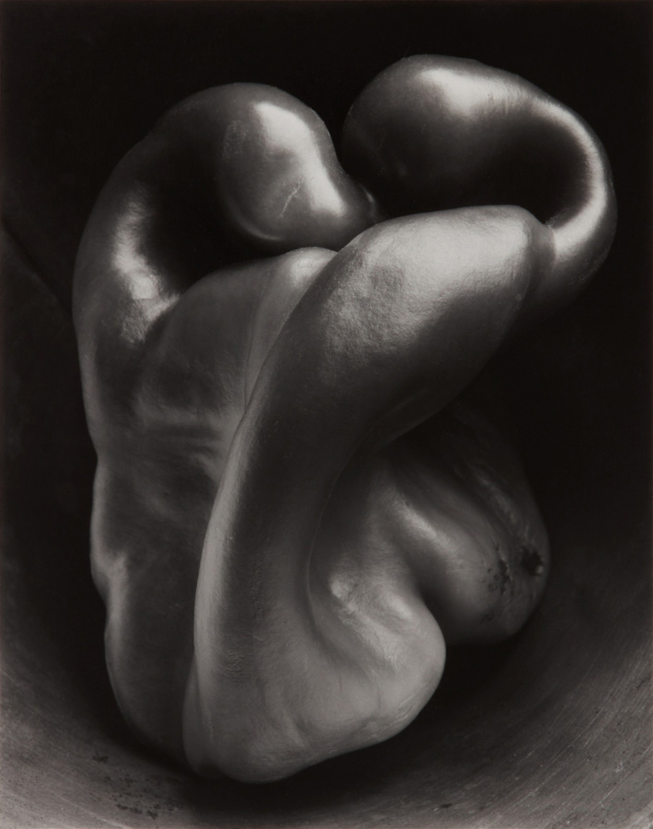 [Edward Weston] 주변 일상의 평범한 사물들을 예술로 승화 시킨,20세기 가장 위대한 사진가.에드워드 웨스턴 (1886–1958) Photo-Image