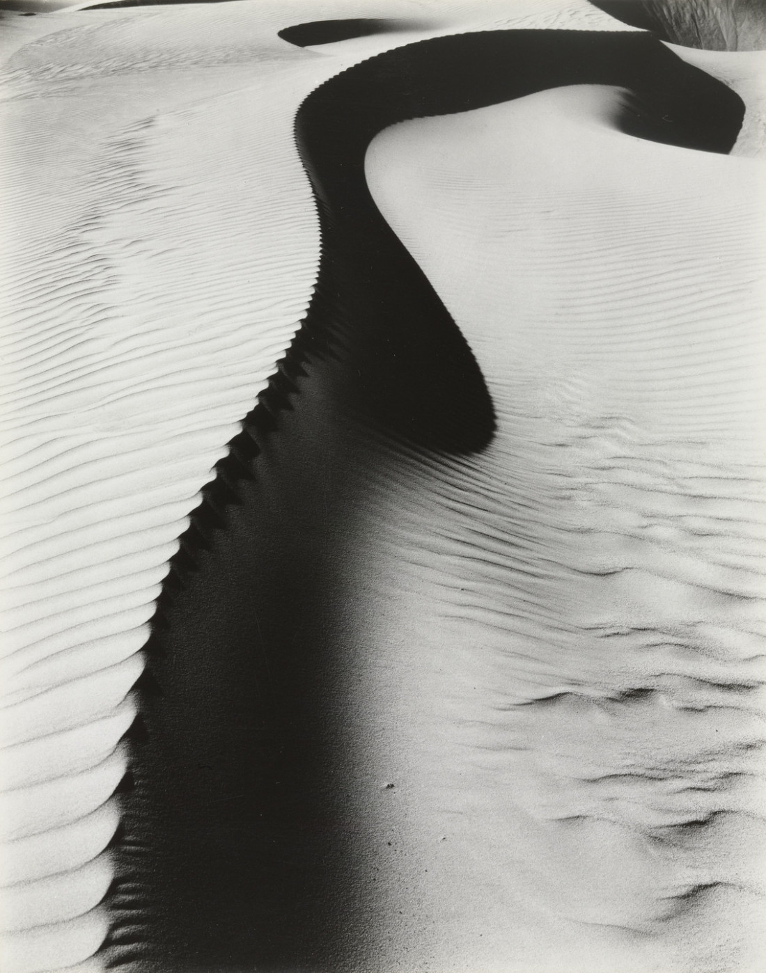 [Brett Weston,브렛 웨스턴] 풍경 추상 Photo-Image