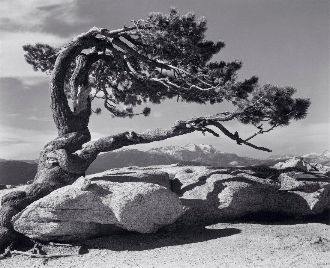 [Ansel Adams] 흑백 사진의 대명사이자 20세기 최고의 풍경 사진가,안셀 아담스.Ansel Adams (1902 1984) Photo-Image