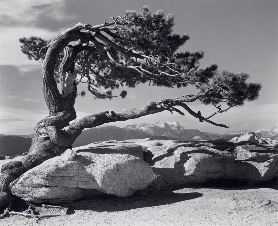 [Ansel Adams] 흑백 사진의 대명사이자 20세기 최고의 풍경 사진가,안셀 아담스.Ansel Adams (1902 1984) Photo-Image