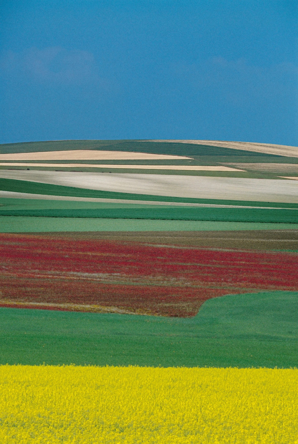 [Franco Fontana] 프랑코 폰타나,칼라의 무게감,추상,상업 사진가,색채의 마술사 Photo-Image