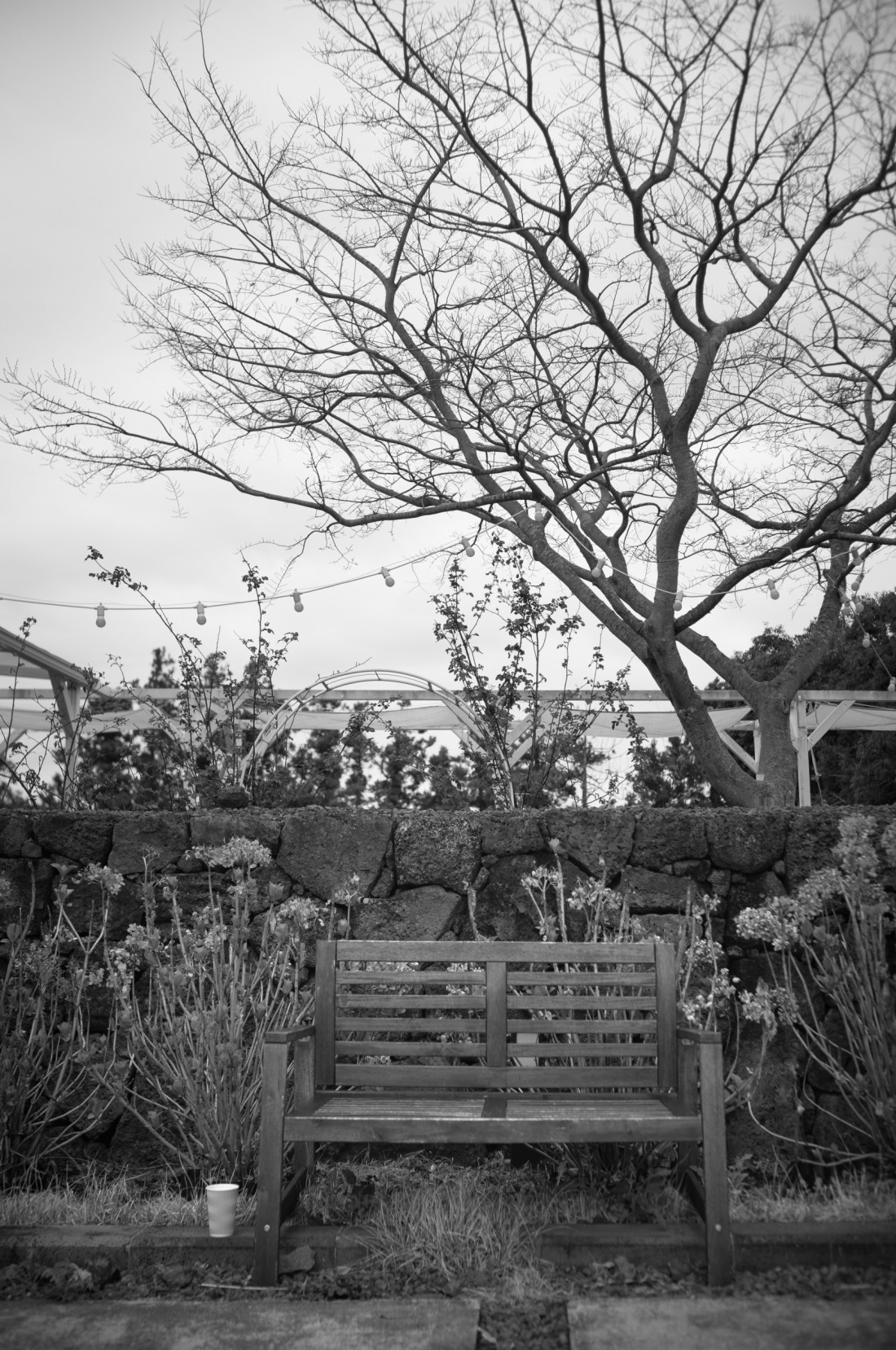 제주도 3 서귀포마을 Photo-Image