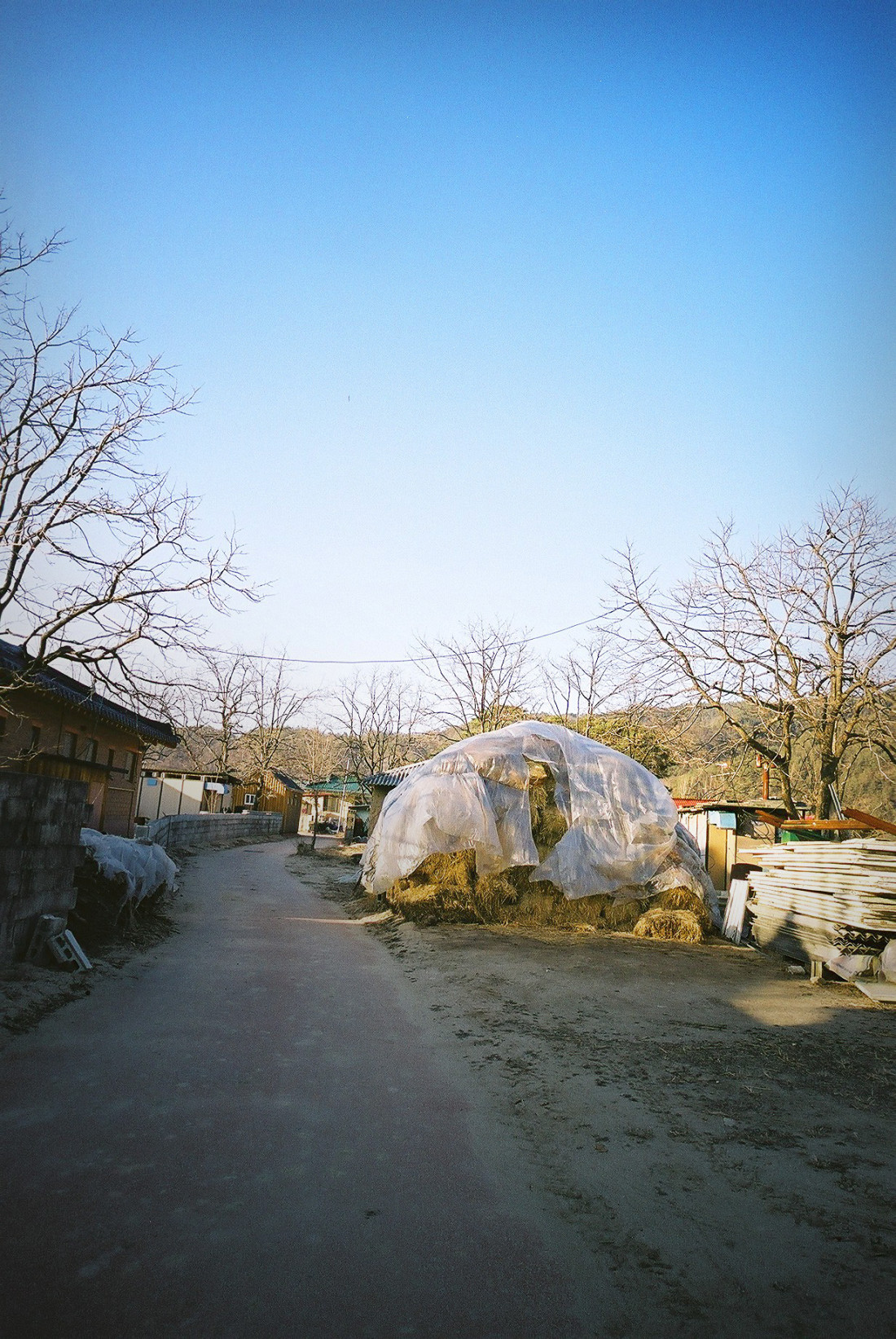 예천 회룡포 마을 Photo-Image