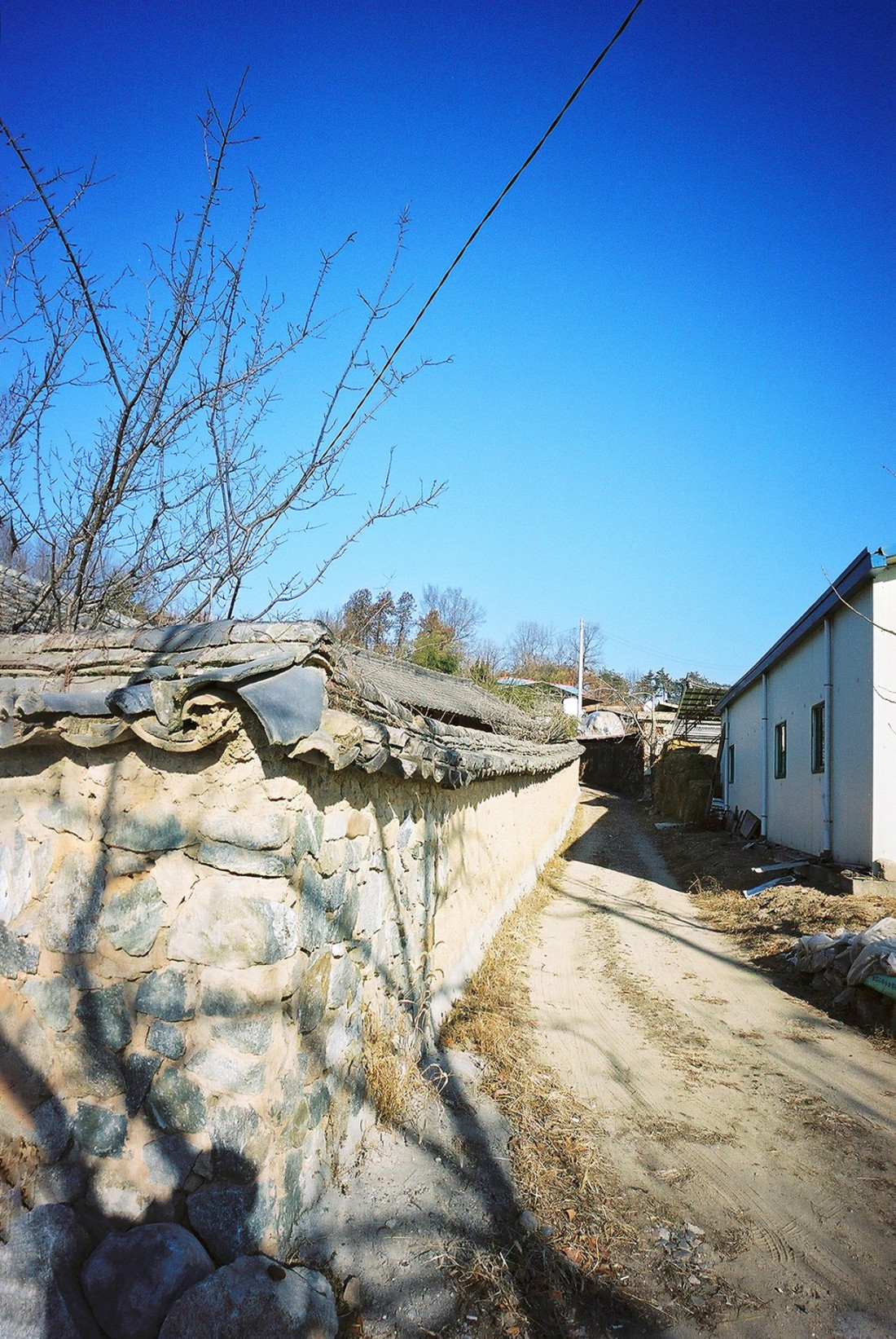 예천 회룡포 마을 Photo-Image