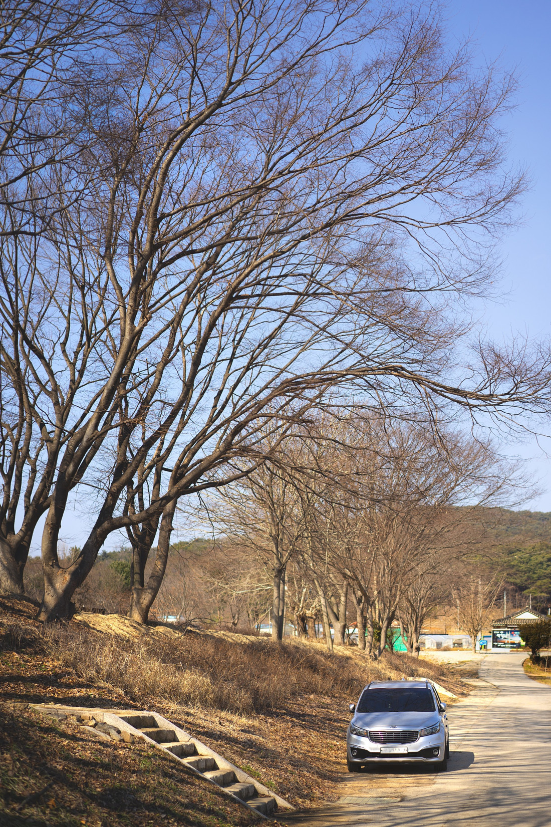 충남 당진 면천 읍성 Photo-Image