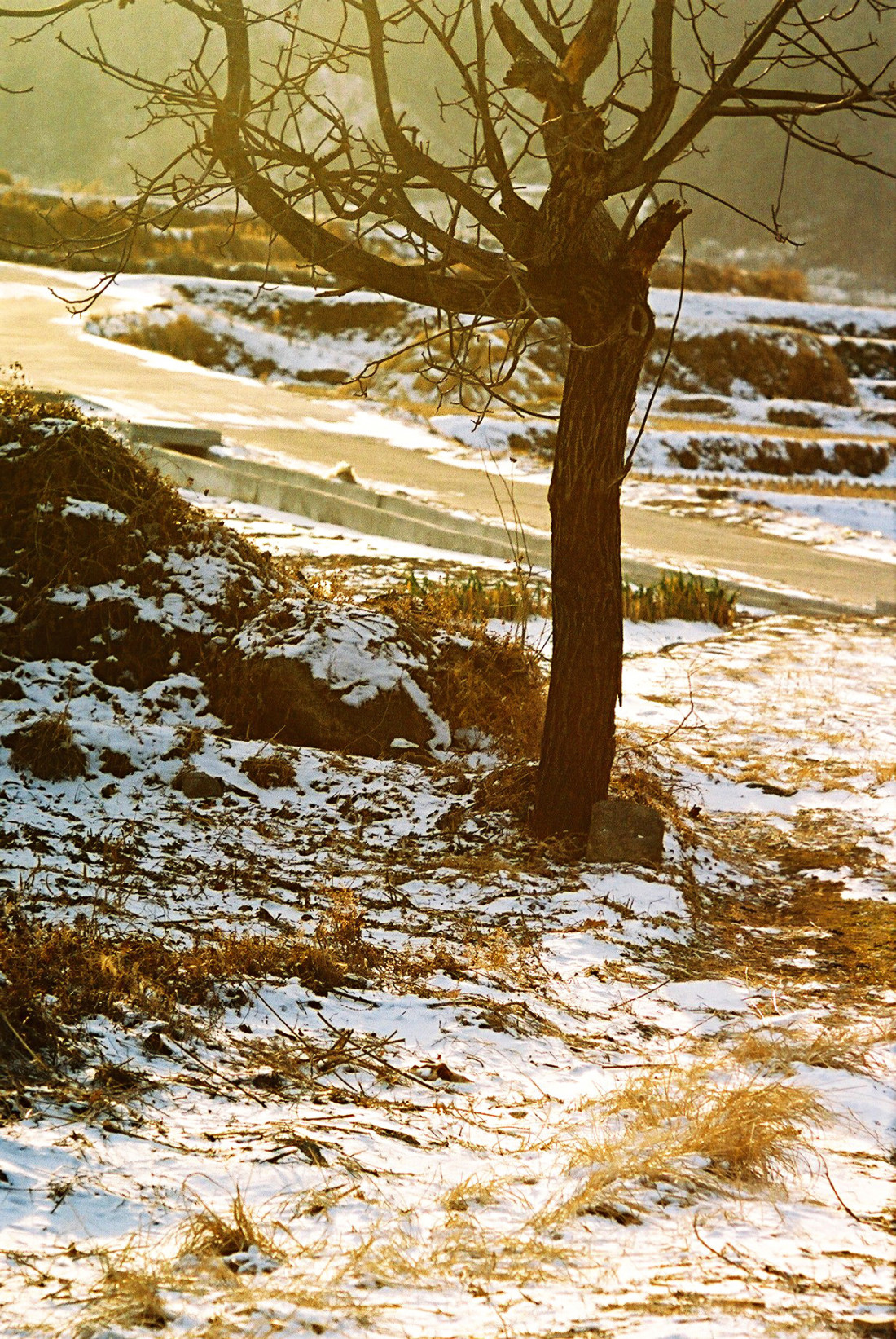 명곡,돌담마을,대구 시내에서 Photo-Image