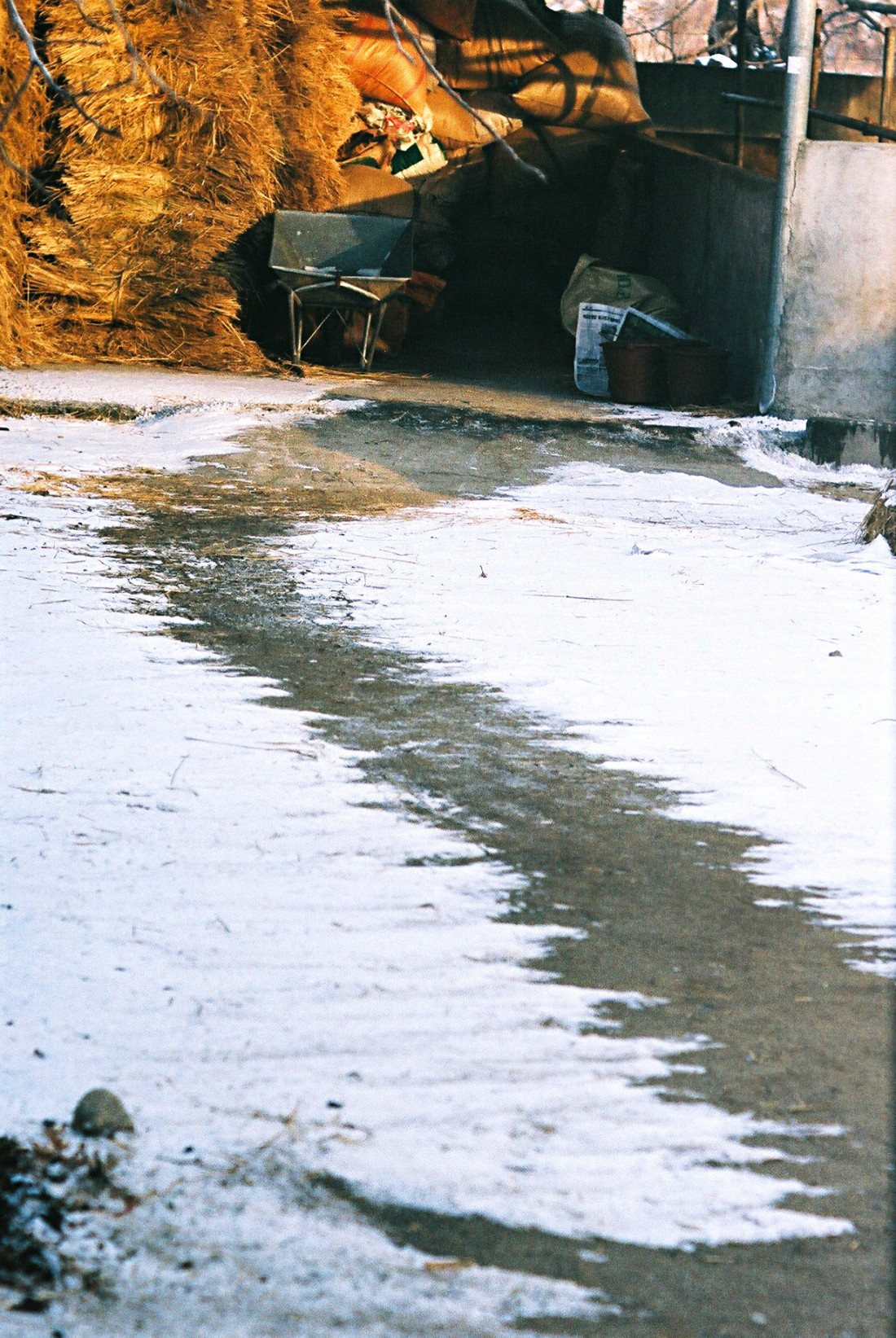 명곡,돌담마을,대구 시내에서 Photo-Image