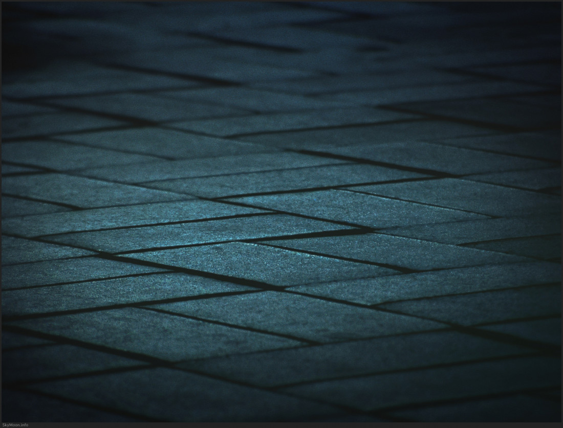 기다림_성서 계대 Photo-Image