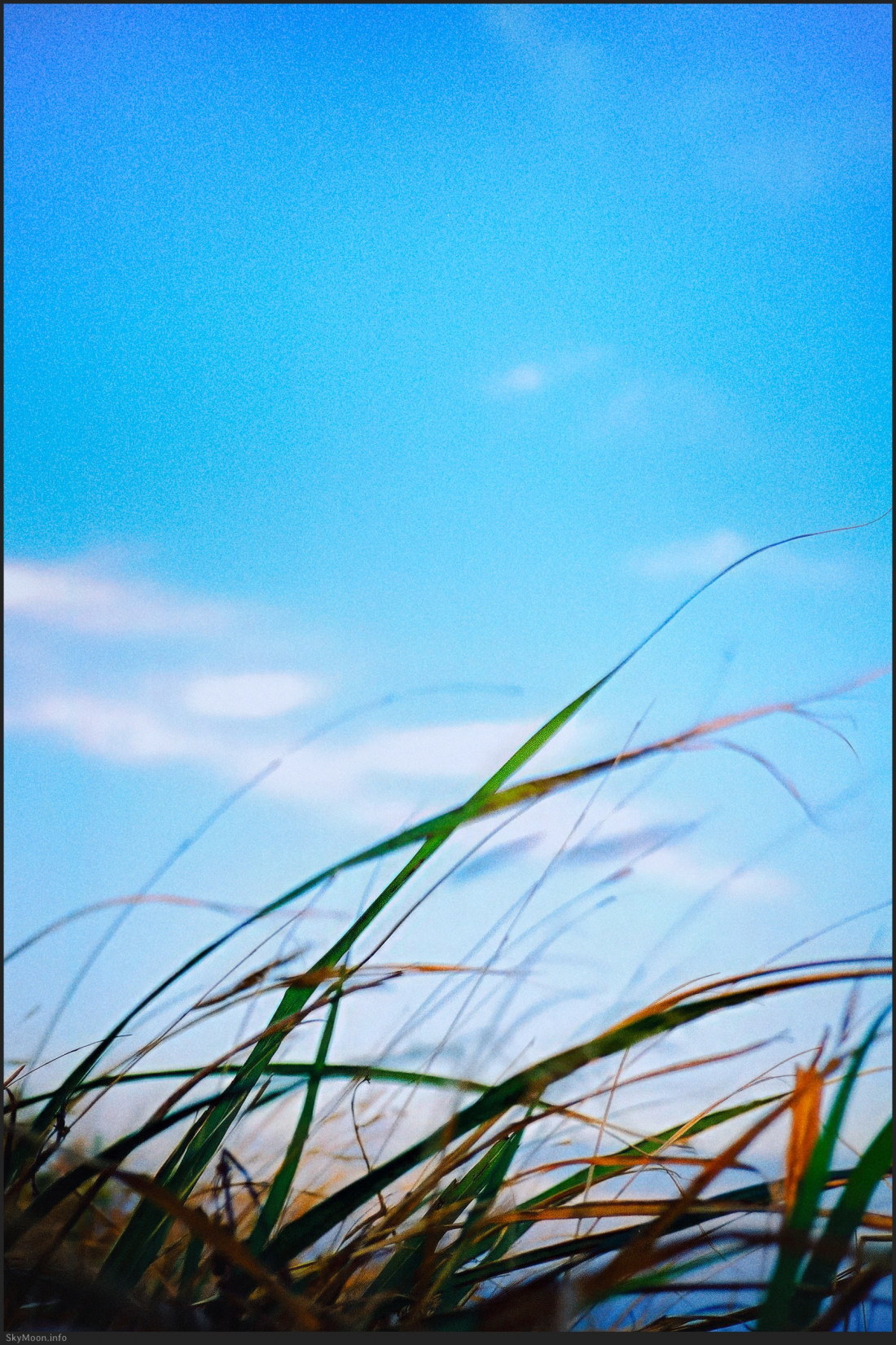 소매물도 거북등 Photo-Image