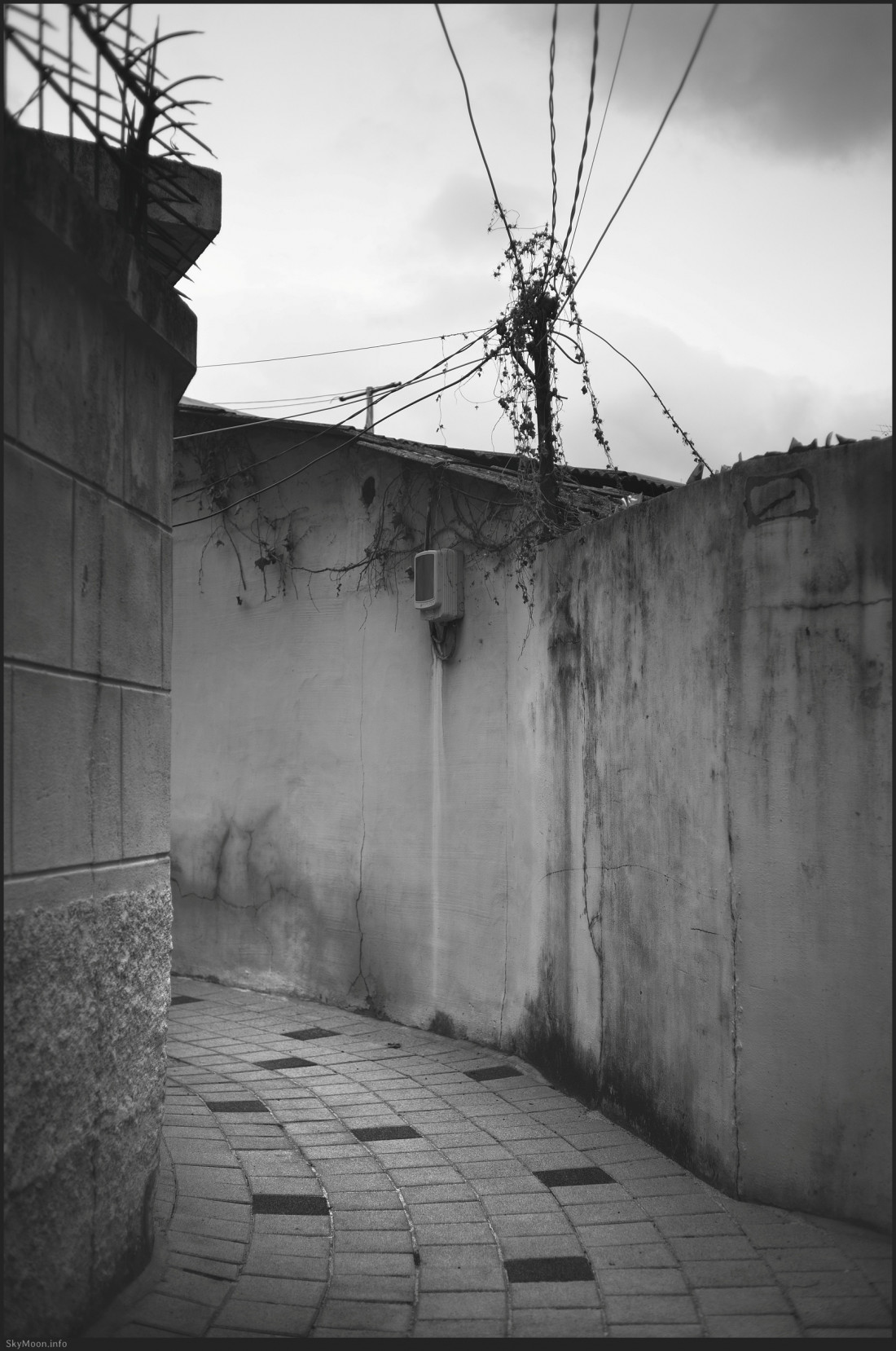 칠성동 골목길 Photo-Image