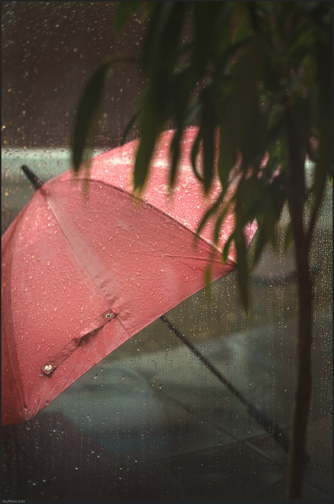 공주,제민천 Photo-Image