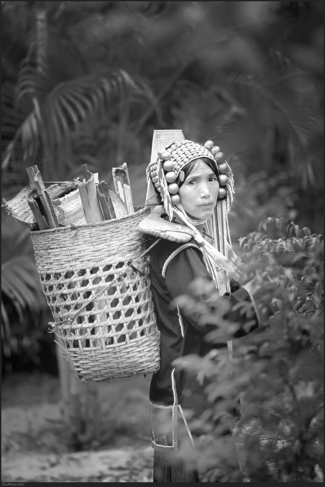 태국 방콕 Photo-Image