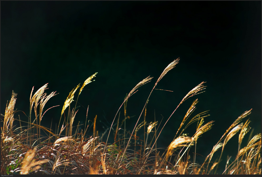 소매물도 거북등 Photo-Image