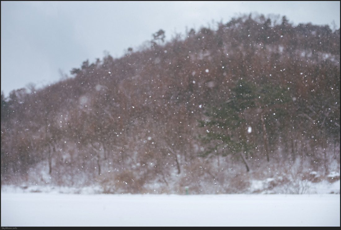 부여,보령 설경-A Photo-Image