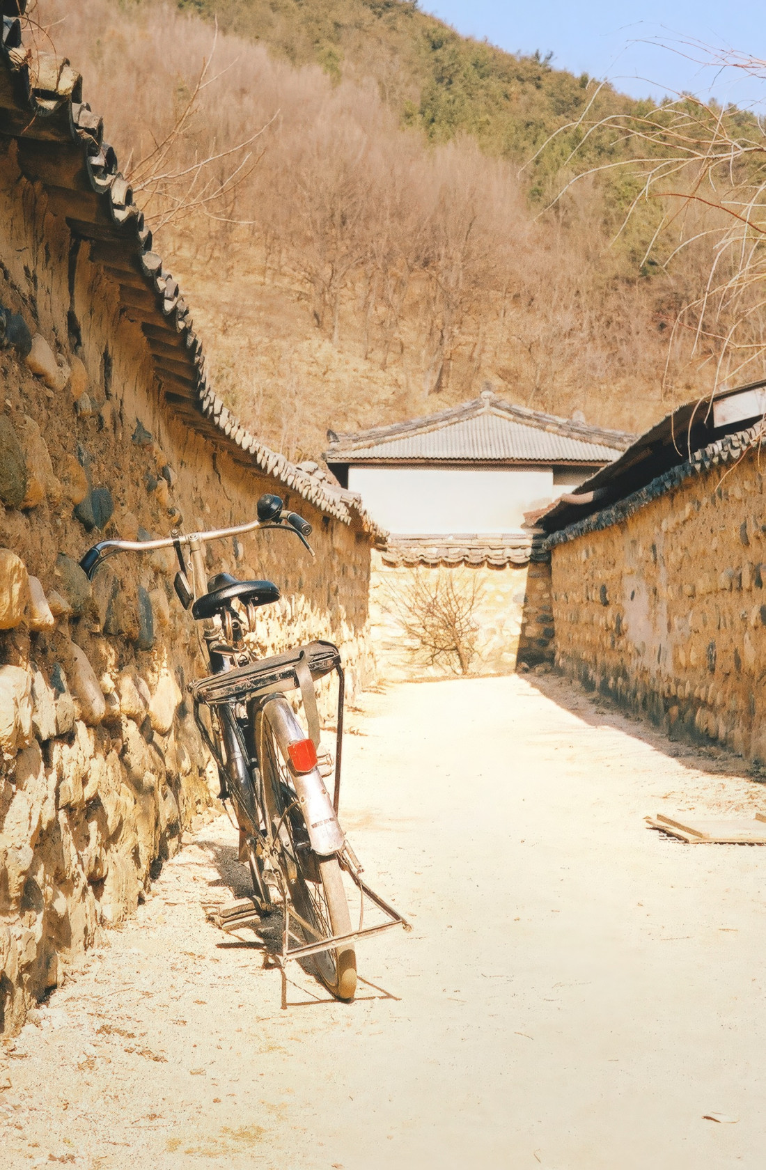 남평문씨 본리세거지,마비정-대구,화원 Photo-Image