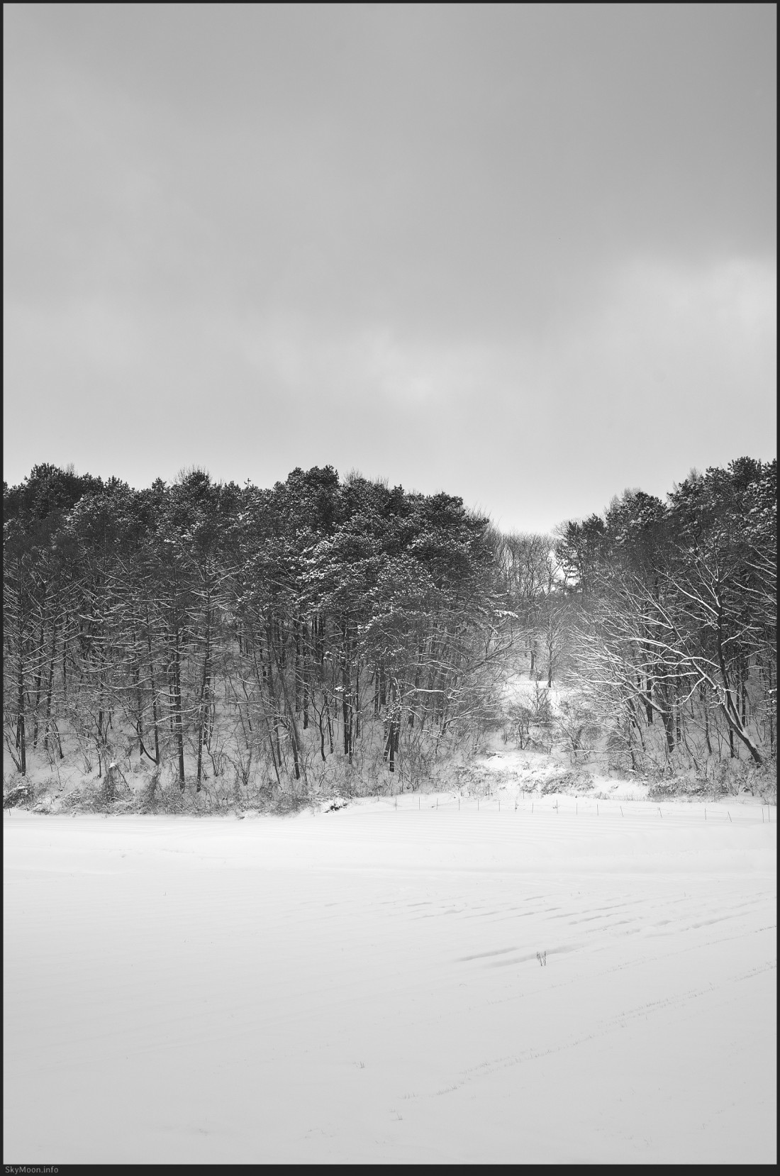 부여,보령 설경-A Photo-Image